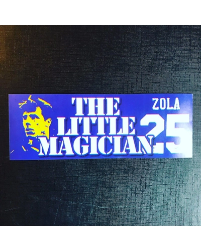100 Chelsea Stickers - Zola