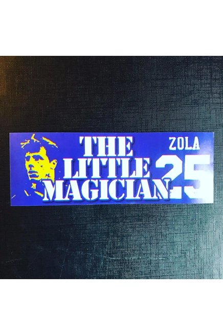 100 Chelsea Stickers - Zola