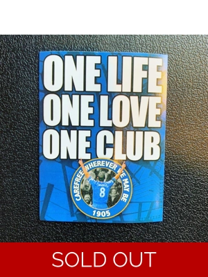 100 Chelsea Stickers - ..