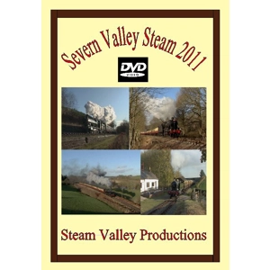 Severn Valley Steam 2011