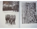 The german national revolution 1933 Nazi photo book