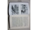 Yearbook of the Third Reich navy 1938