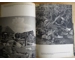 WW2 German mountain troops book Ukraine Serbia