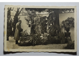 Adolf Hitler at the grave of his parents in Leonding on 13.03.38 photographic postcard