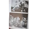 Rare Heinrich Hoffmann photo book Mussolini experiences Germany 1937