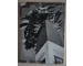 Rare Heinrich Hoffmann photo book Mussolini experiences Germany 1937