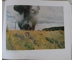 Original WW2 german color combat photo book Decisive Hours