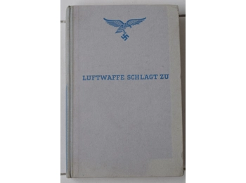 The Luftwaffe strikes. Air war on Poland 1939