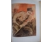 Germany awakenes Original Nazi Third Reich book