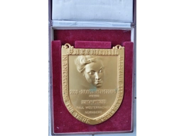 Original Nazi plaque Haarformerverband