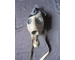 Original German captured Wehrmacht gas mask WW2