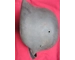 Original german M42 Helmet Wehrmacht one decal WW2