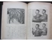 Third reich book Germany awakens Japanese edition