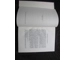 Blood and money in Judaism anti semitic german book