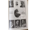 The book of NSDAP 1933 History of the Nazi movement