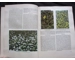 THIRD REICH NATURE AND PLANTS BOOK