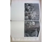 Hitler and the Youth Heinrich Hoffmann photobook 1934