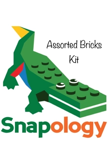 Assorted Bricks Kit