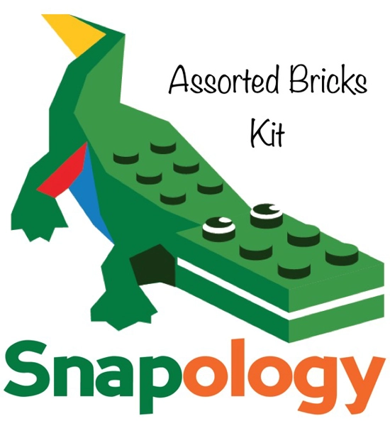 Assorted Bricks Kit