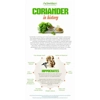 Activation Products Corriander Seed oil