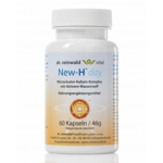 New-H Day Dr Reinwald Hydrogen ions