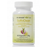 SulfoClean MSM and Wild Garlic by Dr Reinwald