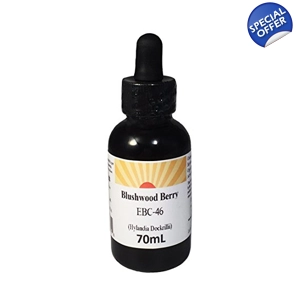 Blushwood Tincture Concentrate 70 ml Hylandia Dockrillii Australia