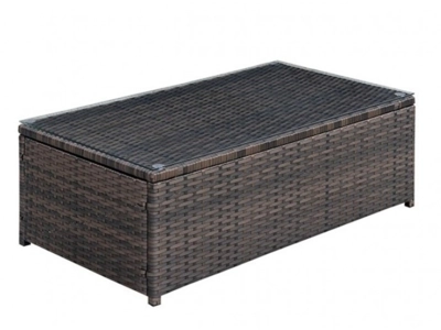 Rattan low table