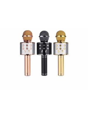 Bluetooth Karaoke Micro..