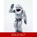 Roy the Robot
