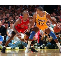 1991 NBA Finals Chicago Bulls vs Los Angeles Lakers DVD set