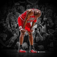 1997 NBA Finals DVD Chicago Bulls vs Utah Jazz