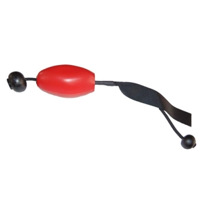 Tutor bird hand throwing dummy