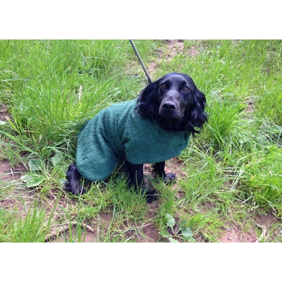 Sporting saint dog towelling coats