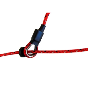 The Sporting Saint 'Field Tr..