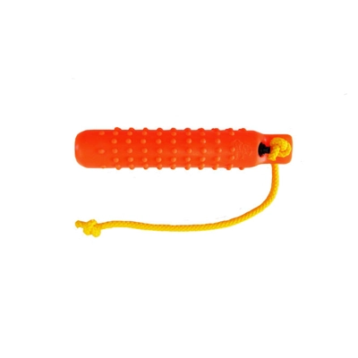 Dokken water dummies