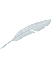 Quill Pen Inscriptions