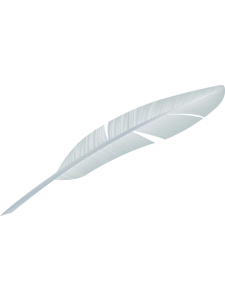 Quill Pen Inscriptions