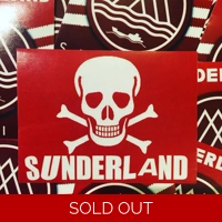 100 Skull Stickers 8x6cm