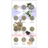 £2 2020-2024 incl.sets, excl. privy Coin Album
