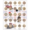 £2 1986-2022 Coin Album