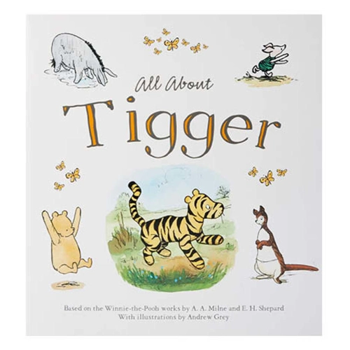 10 x All About Tigger Story Books