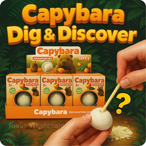 12 x Capybara Dig & Discover Kits