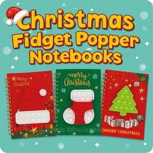 12 x Christmas Fidget Popper Notebooks