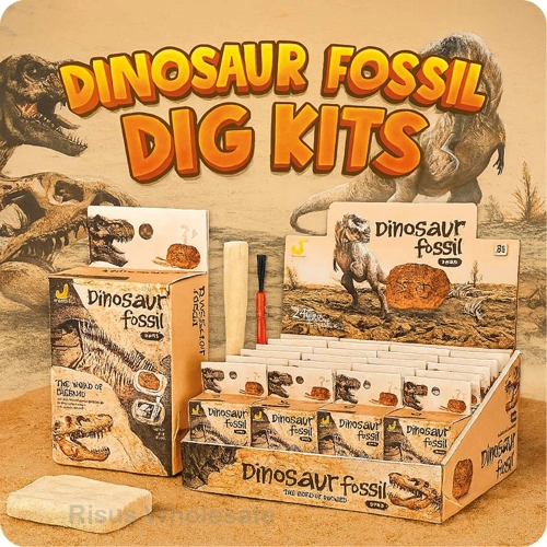 24 x Dig Out Dinosaur Fossils