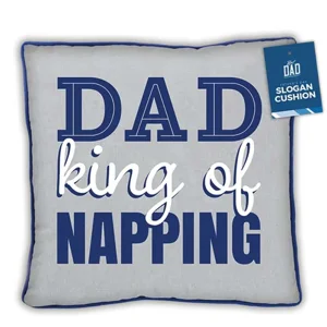 12 x Father's Day Cushions 38cm