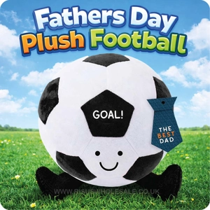 12 x Father's Day Football Plush