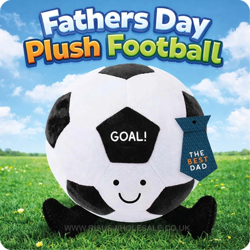 12 x Father's Day Football Plush