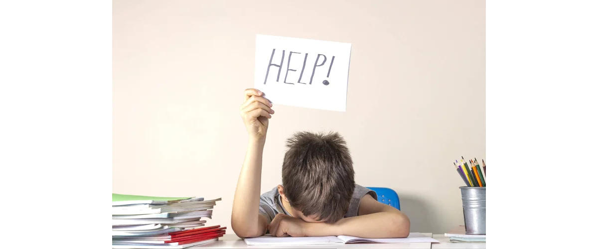 Home Learning - Essential Home School Products