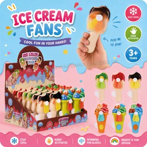 24 x Ice Cream Hand Fans